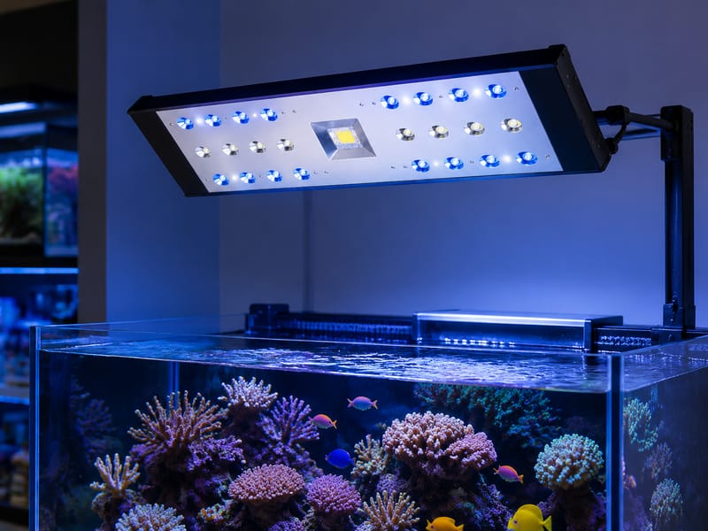 Aquarium LED Lighting Supplier Guide for Professional Buyers -2