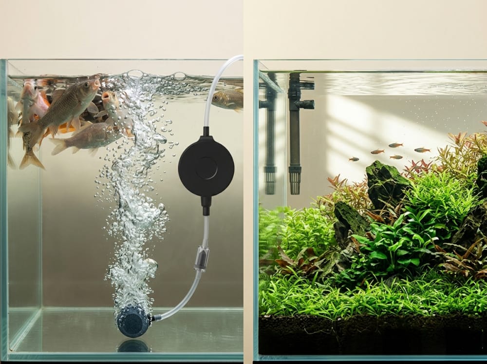 Do U.S. Aquariums Need Air Pumps? A Practical Guide -2
