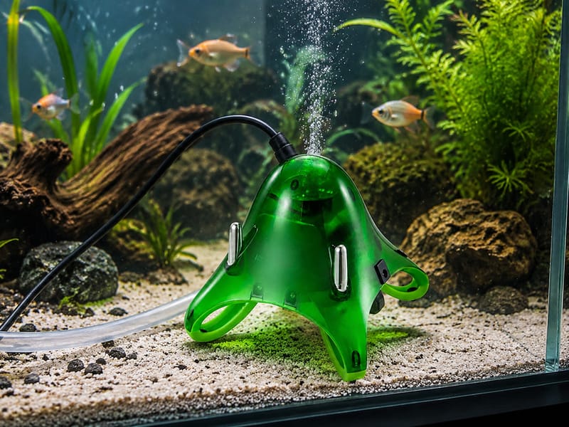 Choosing an Aquarium Products Supplier for OEM Orders -2