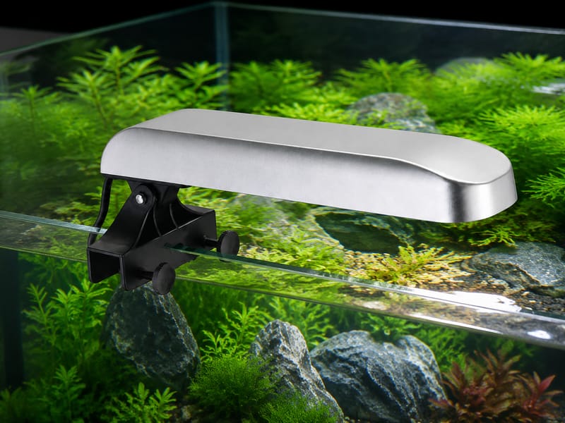 Private-Label Aquarium Accessories: Buyer’s Guide -3