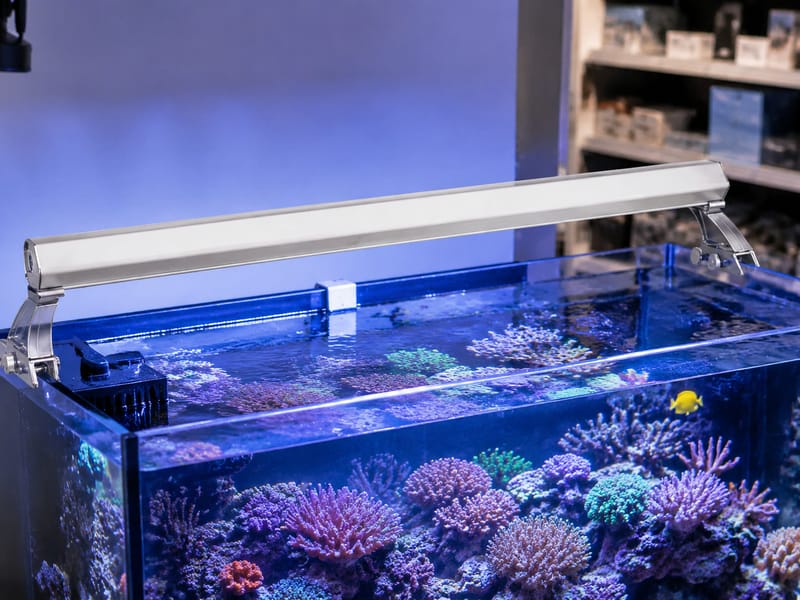 T5 HO Aquarium Lights Wholesale: Buyer Selection Guide -3
