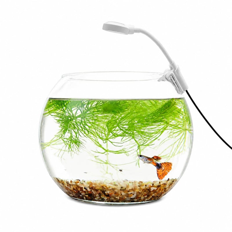 WK008 6500K Clip-On Aquarium Light model WK008 detail image 8 for Aquarium equipment wholesale and OEM buyers