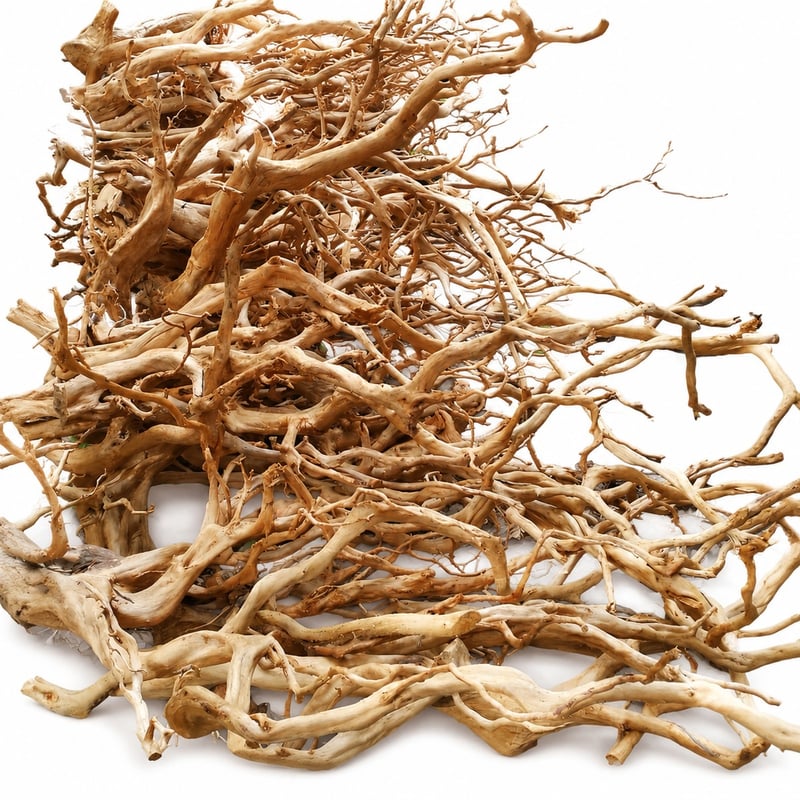 WK018 Azalea Root Driftwood model WK018 performance image for aquarium Aquascaping decor distributors and sourcing teams