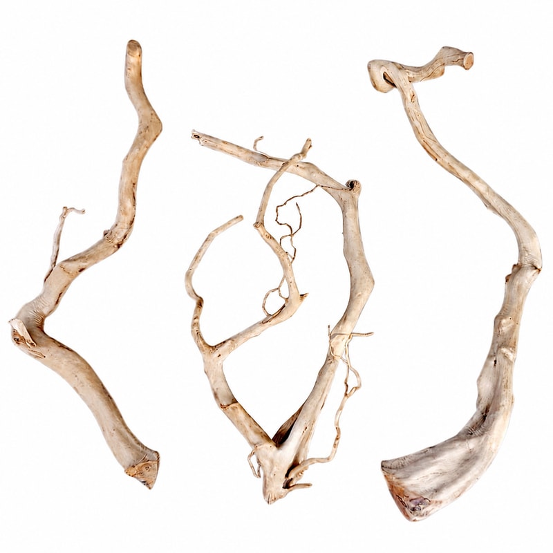 WK018 Azalea Root Driftwood model WK018 detail image 5 for aquarium Aquascaping decor wholesale and OEM buyers