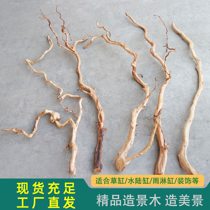 WK018 Azalea Root Driftwood model WK018 detail image 7 for aquarium Aquascaping decor wholesale and OEM buyers
