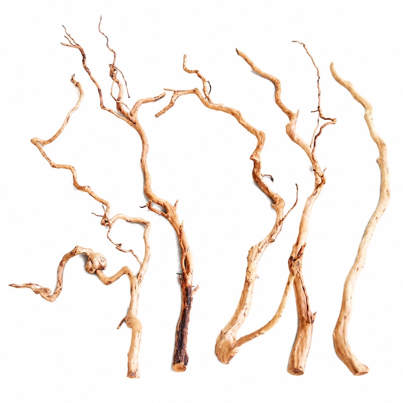 WK018 Azalea Root Driftwood for aquarium Aquascaping decor wholesale, OEM and distributor supply
