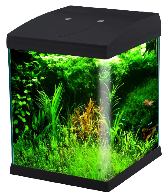 WK072 Mini Rimless Glass Aquarium Tank with LED Light model WK072 detail image 2 for Aquarium tanks wholesale and OEM buyers