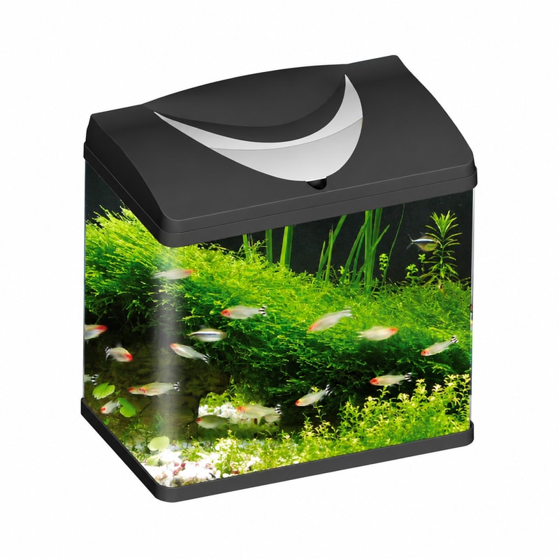 WK095 Glass Aquarium Fish Tank for Aquarium tanks wholesale, OEM and distributor supply