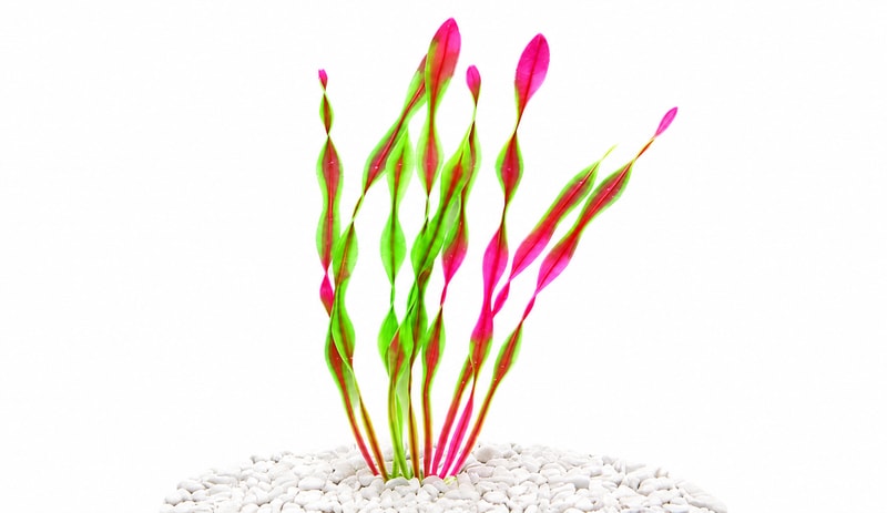 WK105 Artificial Aquarium Plants for Fish Tanks model WK105 detail image 5 for aquarium Aquascaping decor wholesale and OEM buyers
