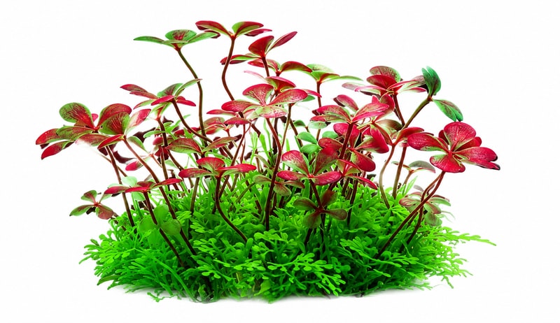 WK105 Artificial Aquarium Plants for Fish Tanks model WK105 detail image 6 for aquarium Aquascaping decor wholesale and OEM buyers