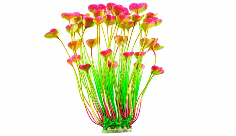 Artificial aquatic plants for aquarium equipment wholesale, OEM and distributor supply