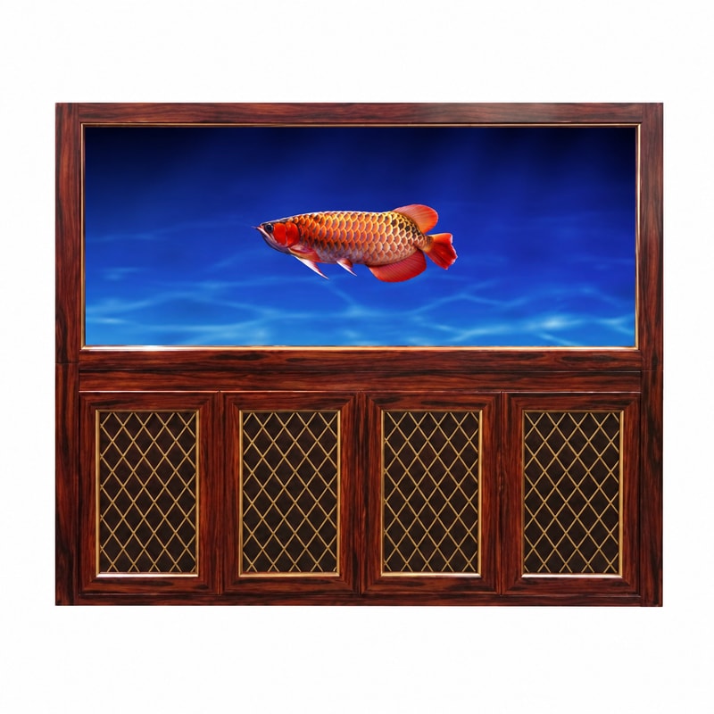 WK106 Wood Grain Arowana Aquarium Tank for Aquarium tanks wholesale, OEM and distributor supply