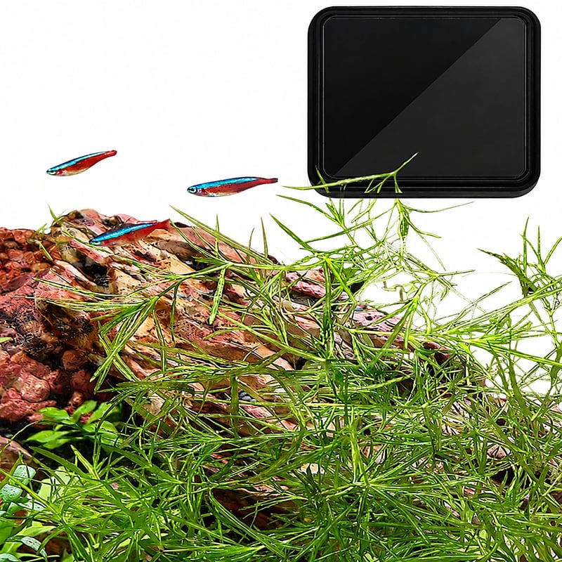 WK108 USB Digital Aquarium Thermometer model WK108 detail image 7 for Aquarium equipment wholesale and OEM buyers