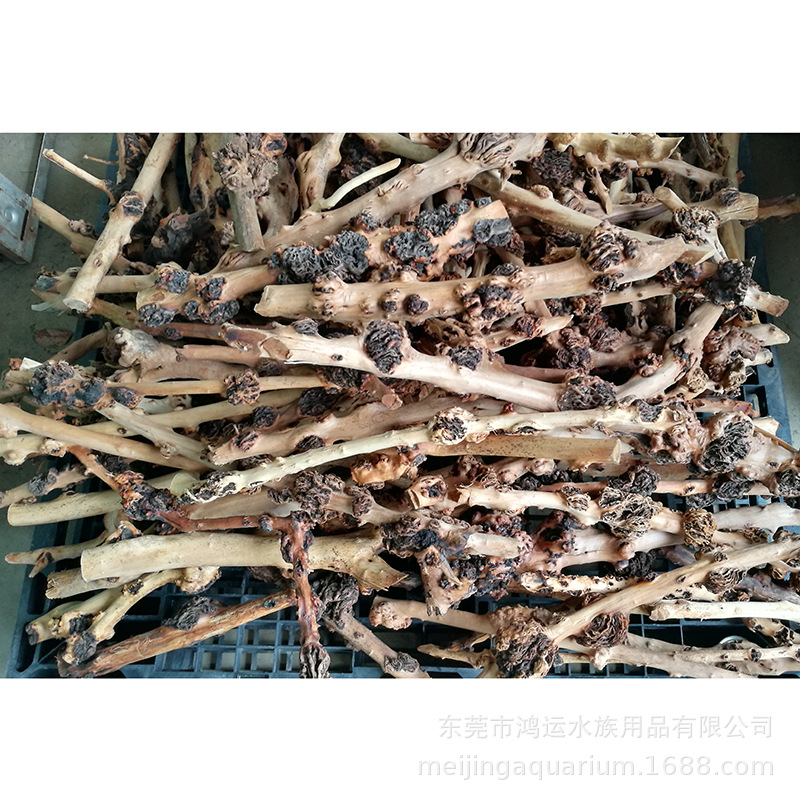 WK110 Natural Root Wood Decor model WK110 detail image 12 for aquarium Aquascaping decor wholesale and OEM buyers