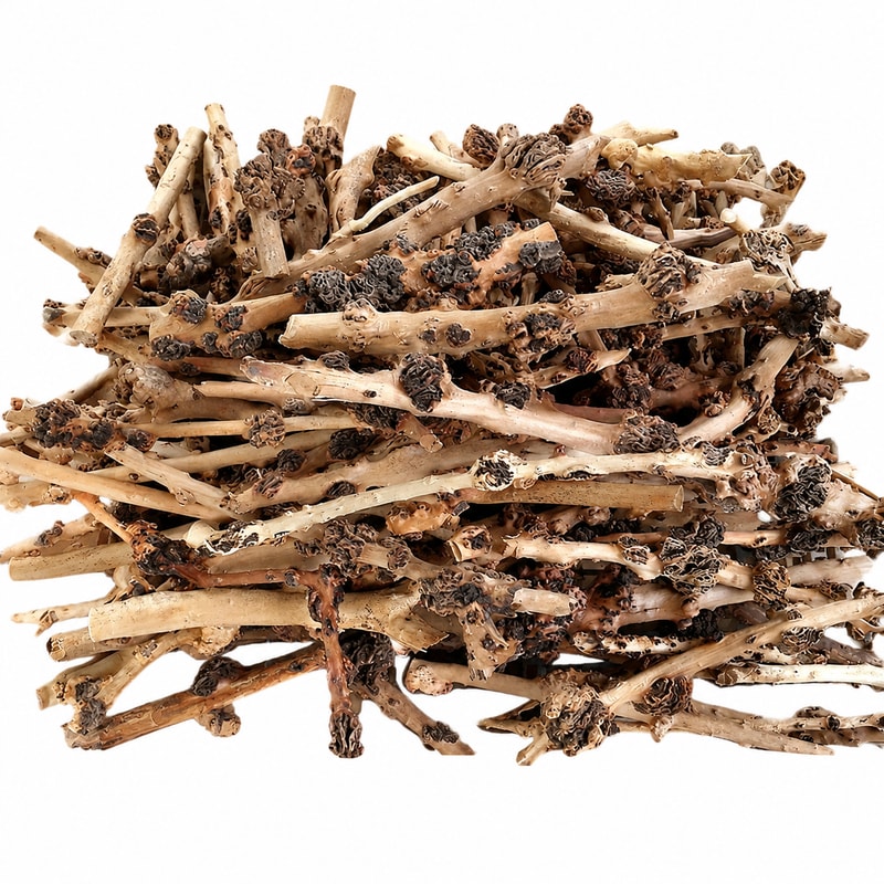 WK110 Natural Root Wood Decor model WK110 detail image 6 for aquarium Aquascaping decor wholesale and OEM buyers