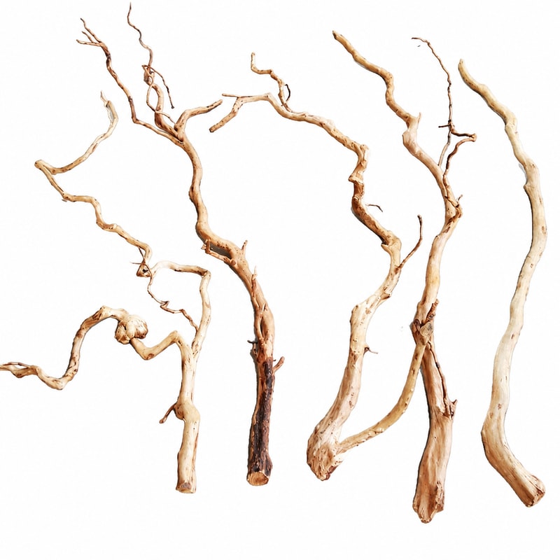 WK114 Purple Teak Aquarium Driftwood for aquarium Aquascaping decor wholesale, OEM and distributor supply