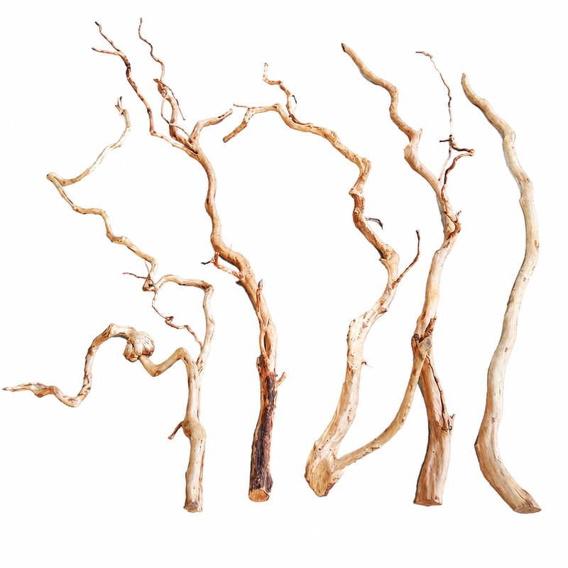 WK132 Shrimp Shelter Driftwood Aquascaping Decor for aquarium Aquascaping decor wholesale, OEM and distributor supply